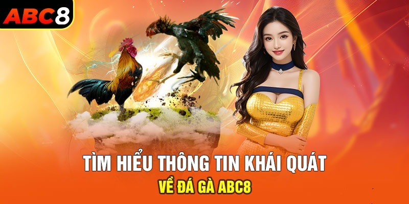 Đá gà ABC8 là tụ điểm giải trí thượng lưu và xa hoa nhất