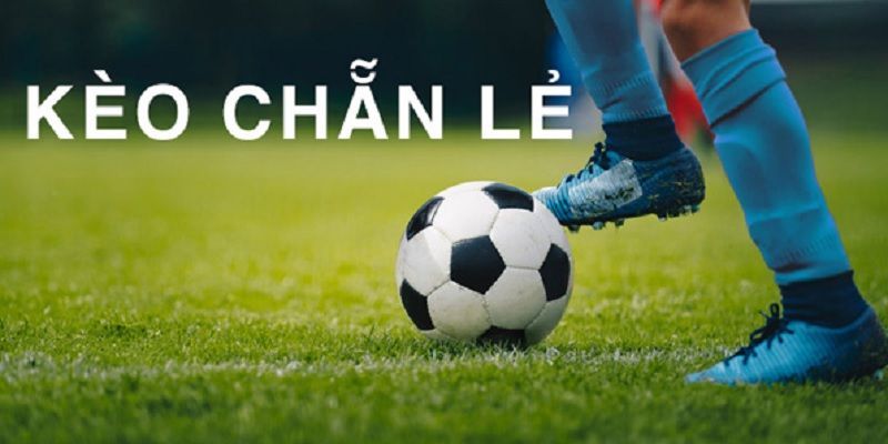 Lưu ý khi chọn cược kèo chẵn lẻ